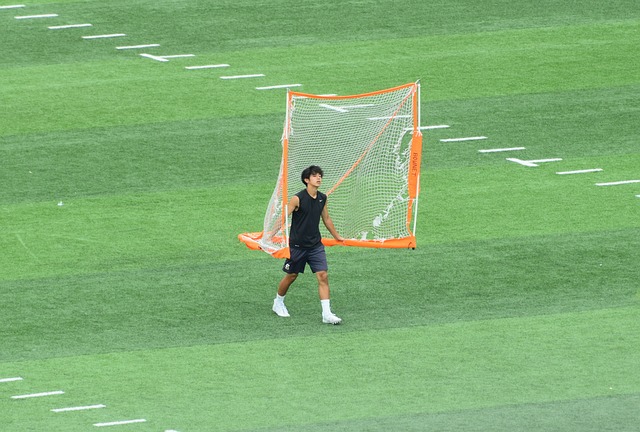 小萨博尼斯