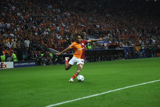 追求卓越 追求卓越