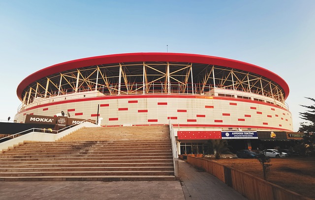 对于任何希 对于任何希